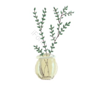 插花 装饰 植物 包装瓶 花瓶 花艺 透明 花瓶