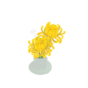 插花 装饰 花呗 花瓶 菊花 黄色 花瓶 花卉剪贴画
