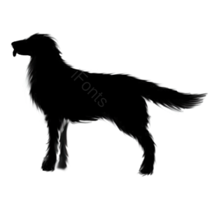狗 金毛 狗狗 宠物 动物 剪影 可爱 导盲犬