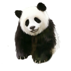 国宝 中国国宝 大熊猫 竹子 黑白相间 东方 四川 珍惜动物