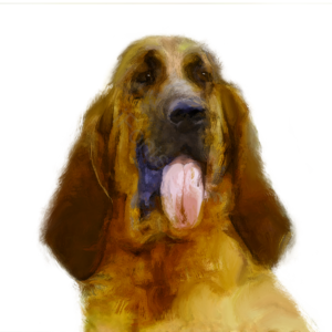 狗狗 犬 手绘 忠诚 伙伴 西施犬 舌头 可爱