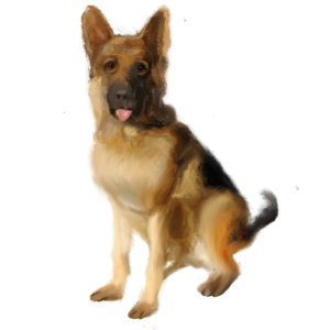 狗 犬 德牧 毛绒 德国牧羊犬 警犬 吐舌头 狗狗