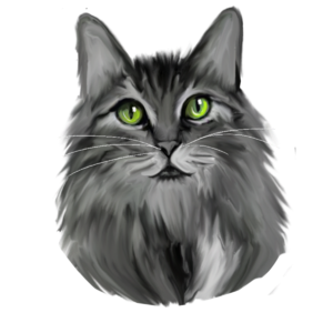 猫 猫咪 绿眼睛 宠物 动物 灰色 猫科动物 元素