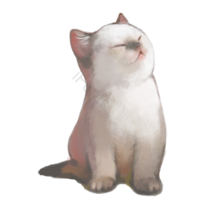 猫 白猫 猫咪 宠物 动物 海报 伙伴 软萌