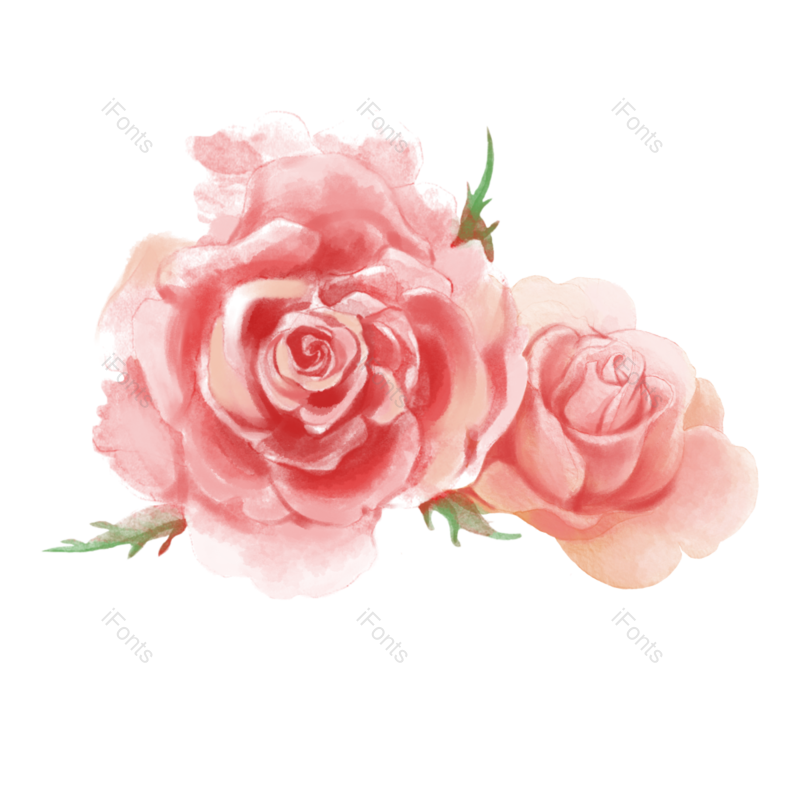 清新图片,花卉元素,花朵PNG,春季免抠素材