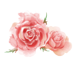 花朵 花卉 植物 春天 清新 花 春 春季