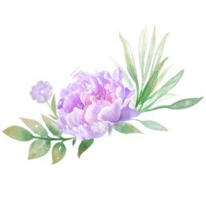 春天 花卉 绿叶 清新 美丽 紫色花 花朵 植物