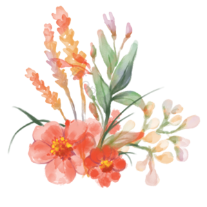 花 鲜花 花朵 花卉 植物 春天 清新 花束