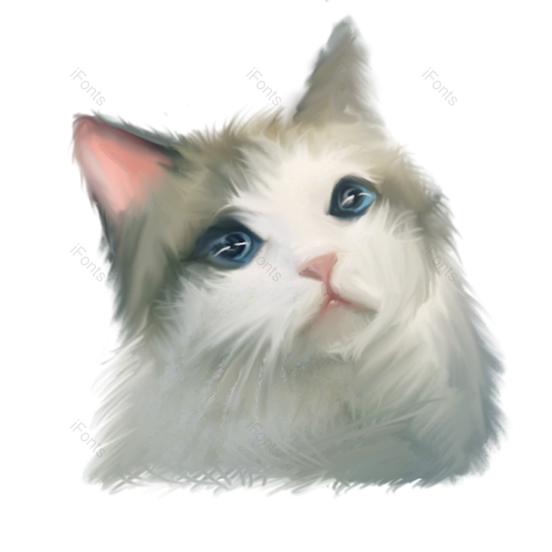 元素图片,宠物元素,海报PNG,猫咪免抠素材