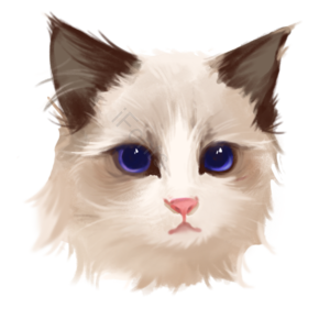 聪明的 恩典的 元素 动物 宠物 海报 猫 猫咪