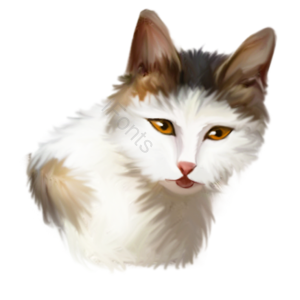 猫咪 猫 猫科动物 宠物 动物 伙伴 黄色眼睛 棕色