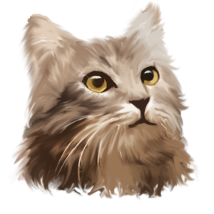 猫咪 猫 动物 宠物 可爱 走兽 棕色 猫科动物