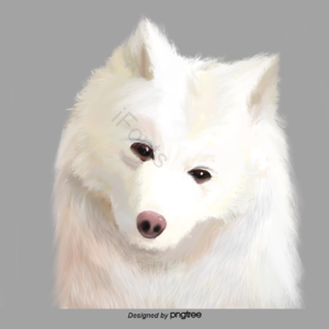 狗 宠物 动物 狗狗头像 忠诚 伙伴 犬 元素