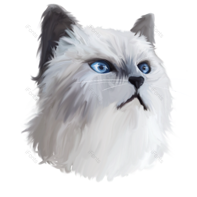 元素图片,宠物元素,海报PNG,猫咪免抠素材