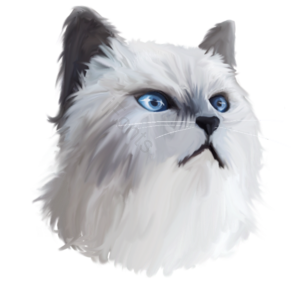 聪明的 元素 动物 宠物 海报 猫 猫咪 卡塔芒