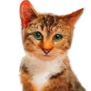 猫 猫咪 可爱 绿眼睛 宠物 动物 伙伴 元素
