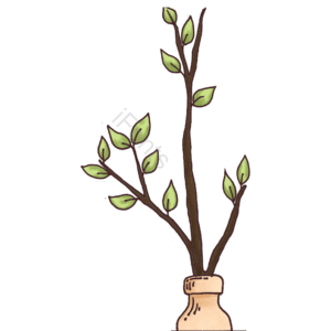 叶 插花 分行 植物 欣赏 绿植植物绿色 绿色 花瓶