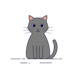 灰色 坐姿 可爱 猫咪