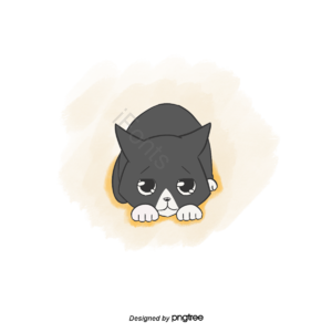黑白色 可爱 猫咪