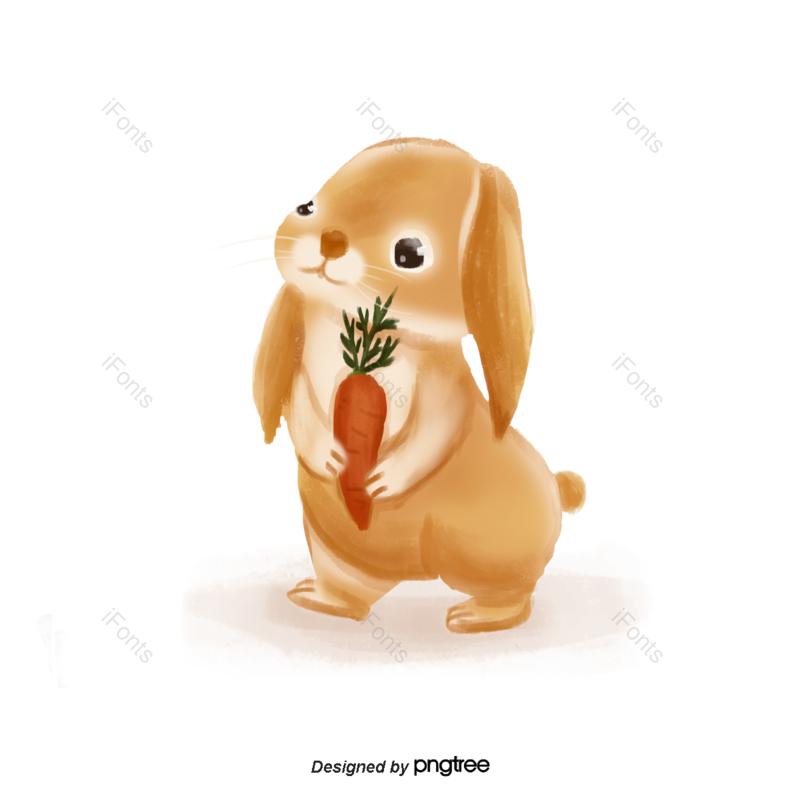 兔子图片,蔬菜元素,动物PNG,可爱免抠素材