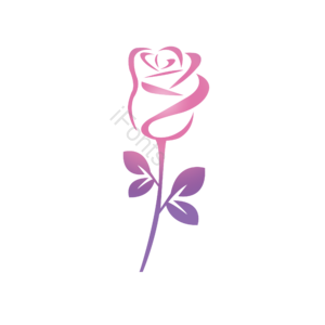玫瑰花 紫色玫瑰花 简笔玫瑰花 手绘玫瑰花