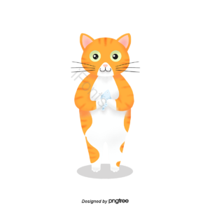 橘色 灰色 白肚皮 猫咪 橘猫 鱼