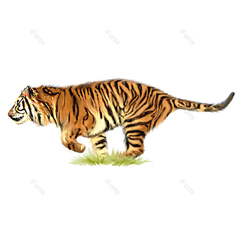 元素图片,插画元素,老虎PNG,手绘免抠素材