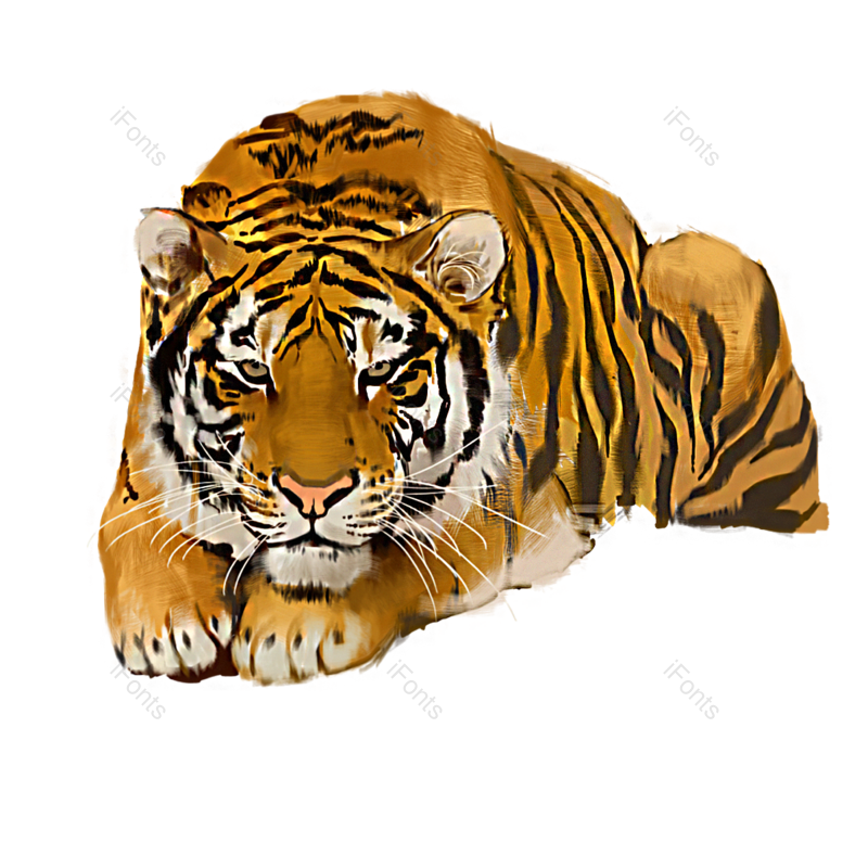 插画图片,老虎元素,动物PNG,手绘免抠素材