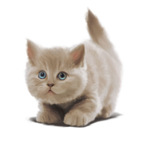 动物 可爱 宠物 家猫 小猫咪 手绘 毛茸茸 灰色
