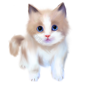 元素  可爱 小猫咪 手绘竽 毛茸茸的 猫 白猫