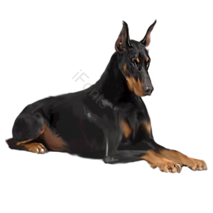 动物 宠物 狗儿 黑狗 黑色 德国牧羊犬 狗窝 动物剪贴画