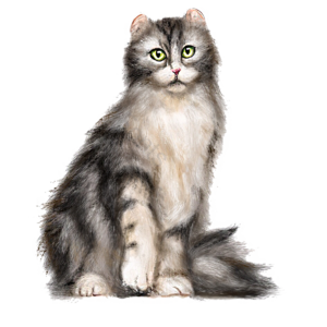猫 猫咪 绿色眼睛 灰色毛发 动物 宠物 灵巧 毛绒