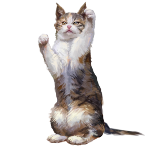 猫 猫咪 小猫 家猫 野猫 动物 宠物 棕色