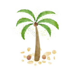 棕榈树 绿色 水彩 热带植物 树 植物 热带 插画