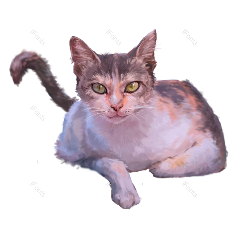 小猫图片,插画元素,宠物PNG,猫咪免抠素材