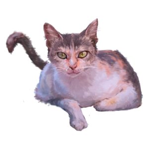 猫咪 小猫 家猫 猫 野猫 动物 宠物 棕色