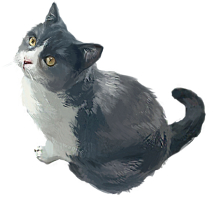 猫咪 猫 小猫 家猫 野猫 动物 宠物 灰色