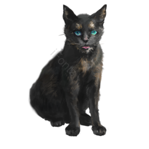  宠物 家猫 小猫 手绘竽 插画用图 猫 猫咪