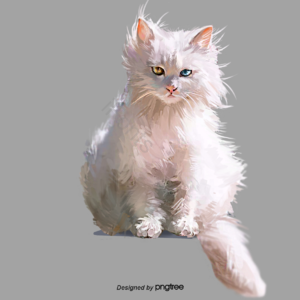 猫 猫咪 小猫 白猫 家猫 野猫 动物 宠物