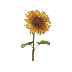 葵花 植物 水彩 向日葵剪贴画 植物剪贴画 水彩剪贴画 向日葵矢量图