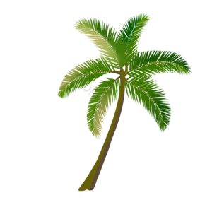 剪贴画 手绘 叶 树 棕榈叶 棕榈树 植物 热带