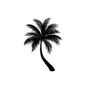轮廓 棕榈树 黑色 棕榈 弯曲的树 剪影剪贴画 树标志