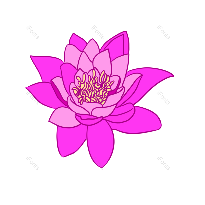 莲子图片,荷花元素,插画PNG,莲花免抠素材
