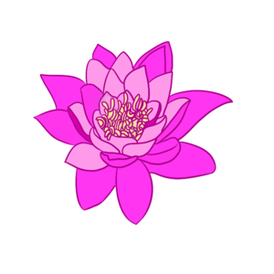 插画 手绘 剪贴画 荷花 水芙蓉 芙蕖 芙蓉 莲花