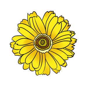 葵花 太阳花 手绘竽 插画用图 金色的向日葵 花呗 黄色花朵鲜花 花卉剪贴画