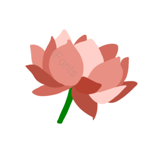 莲蓬 莲子 莲花 芙蓉 芙蕖 鞭蕖 水旦 水生植物