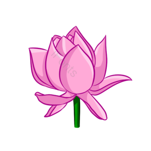 插画 手绘 剪贴画 荷花 水芙蓉 芙蕖 芙蓉 莲花