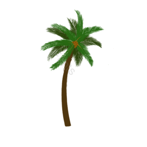 叶 树 棕榈 棕榈树 厂 热带植物 树剪贴画 叶剪贴画