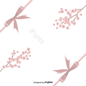 粉色 樱花 蝴蝶结 丝带 装饰 清新 贺卡 樱花季