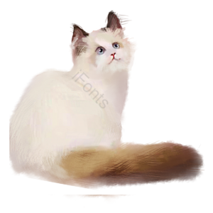 猫 猫咪 白色 可爱 毛绒 宠物 动物 野猫